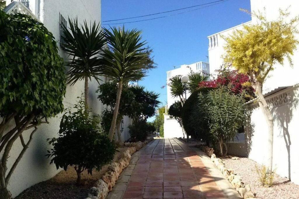 La Provenza Sun & Sand La Mata  Eksteriør bilde